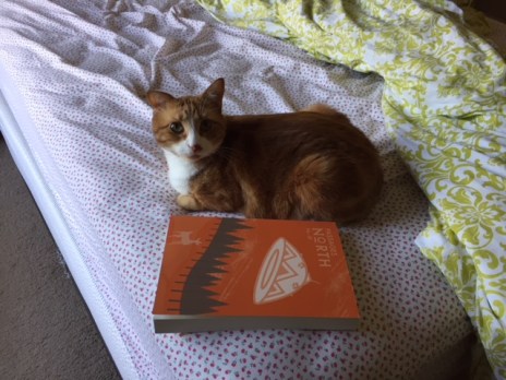 Steve pic with Passages North